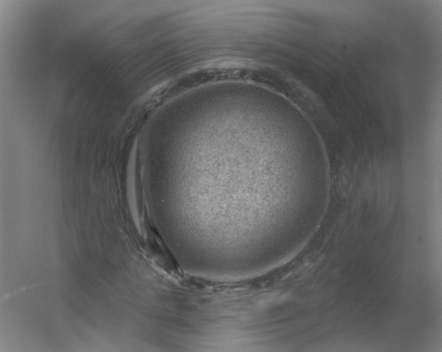 X0000054400821200508121656