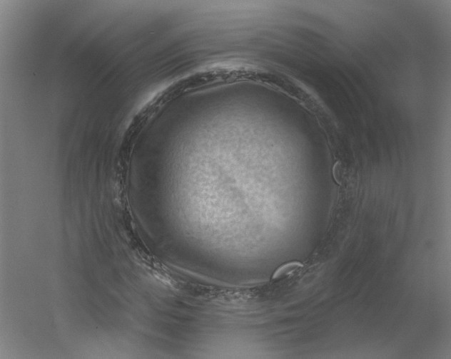 X0000054400823200508121656