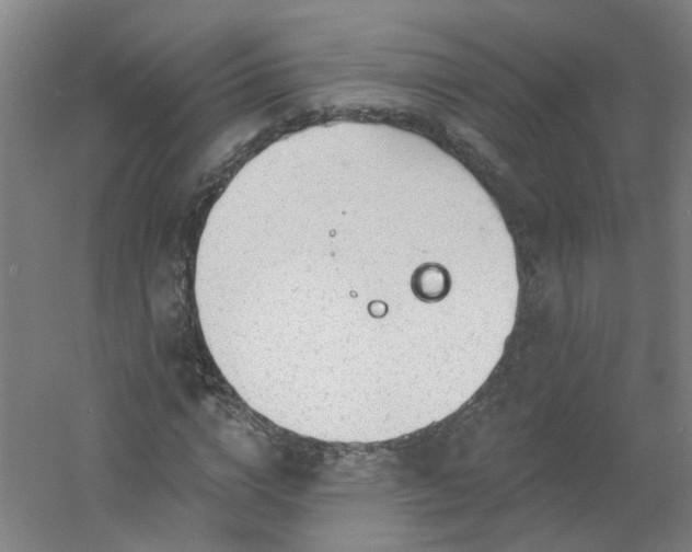 X0000054400824200508121656