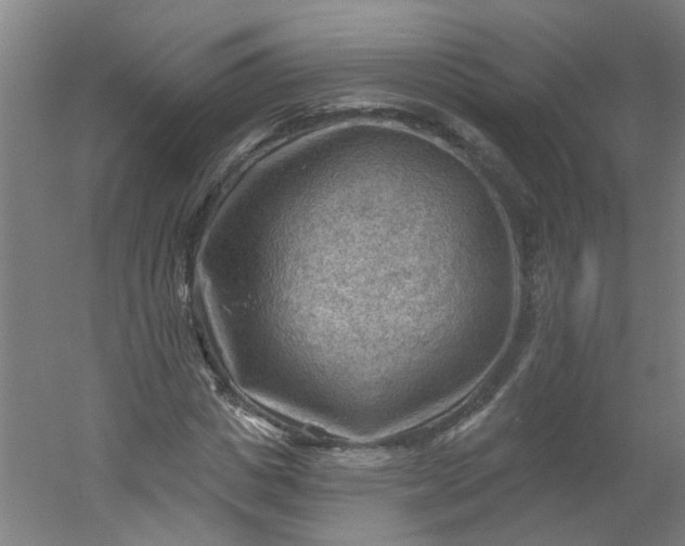 X0000054400825200508121656