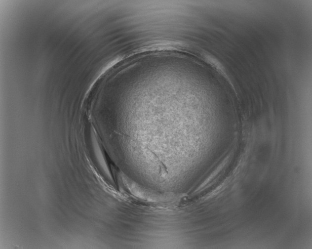 X0000054400827200508121656