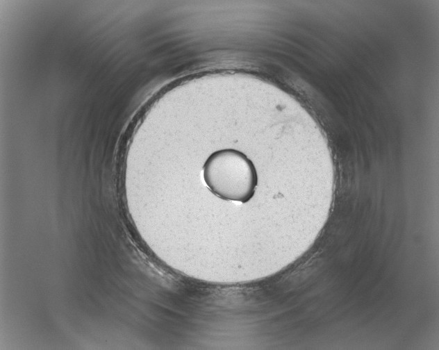 X0000054400828200508121656