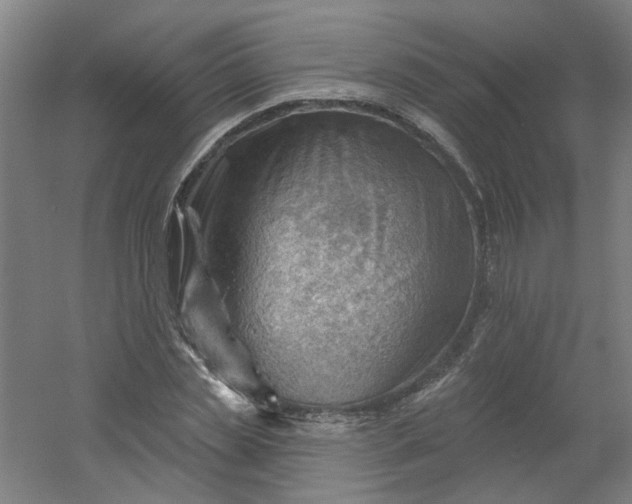 X0000054400829200508121656