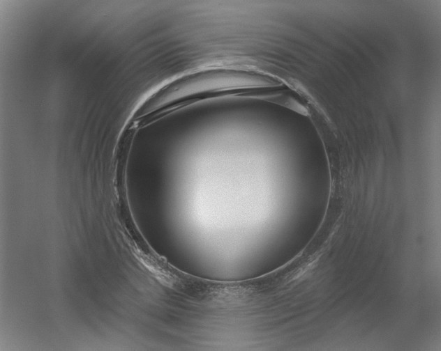 X0000054400830200508121656