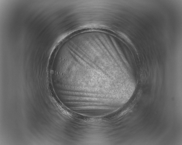 X0000054400831200508121657