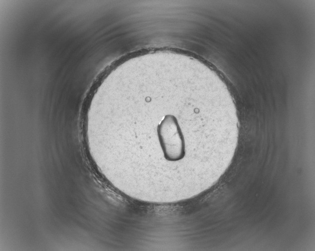 X0000054400832200508121657