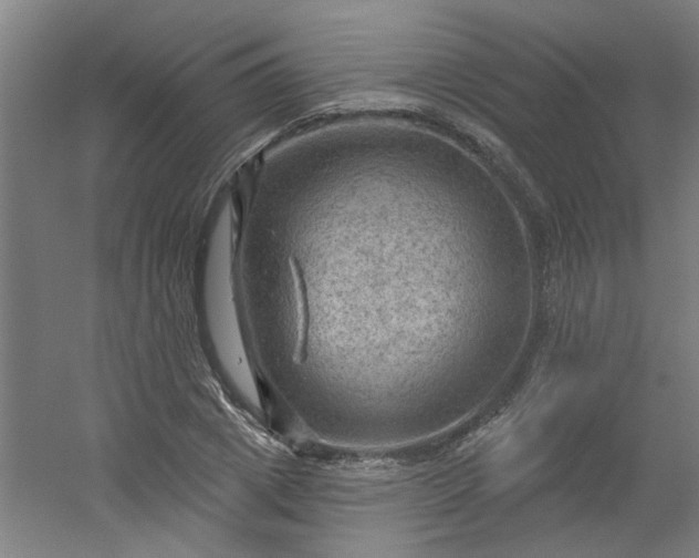 X0000054400833200508121657