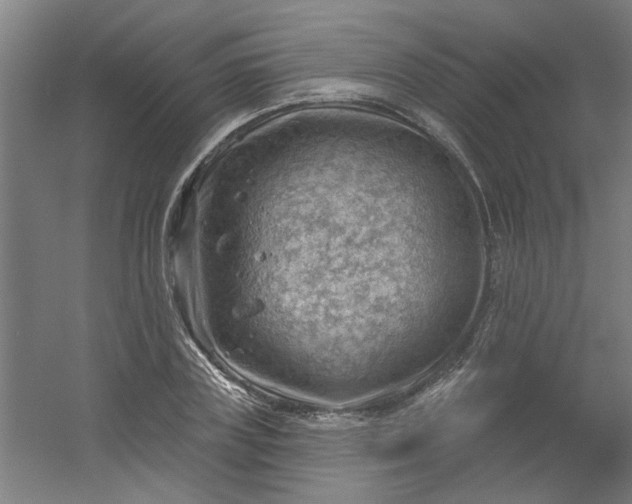 X0000054400835200508121657