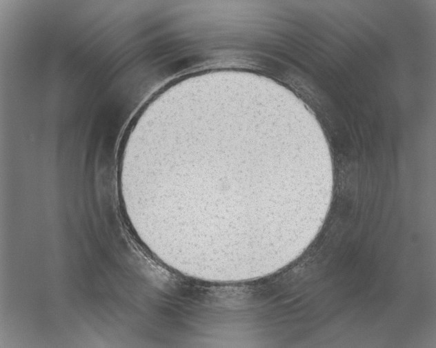 X0000054400836200508121657