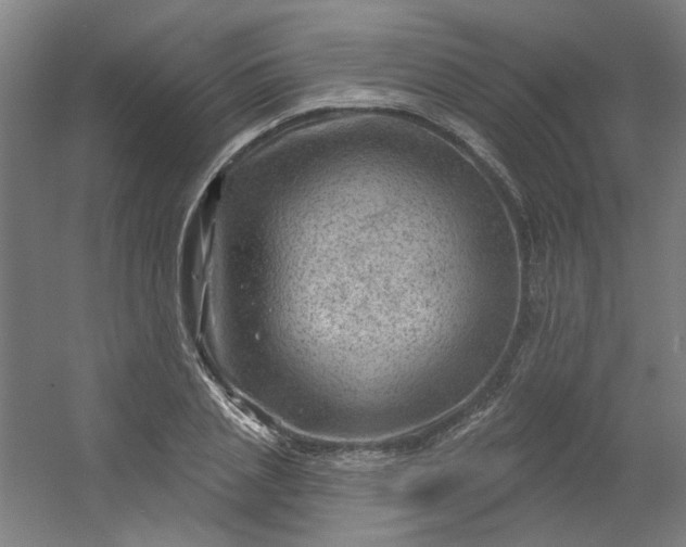 X0000054400837200508121657