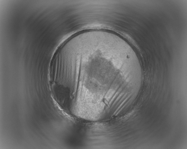 X0000054400839200508121657