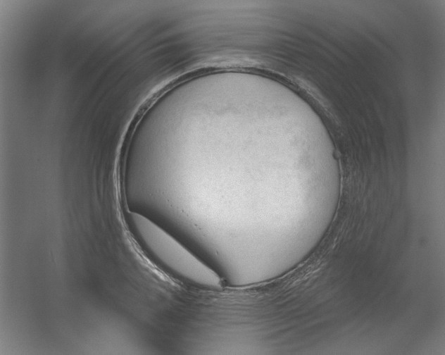 X0000054400840200508121657