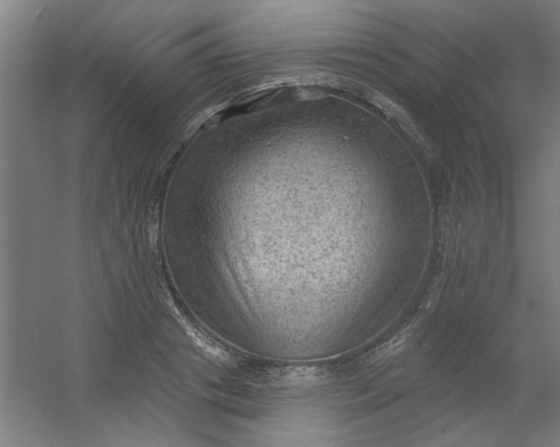 X0000054400841200508121657