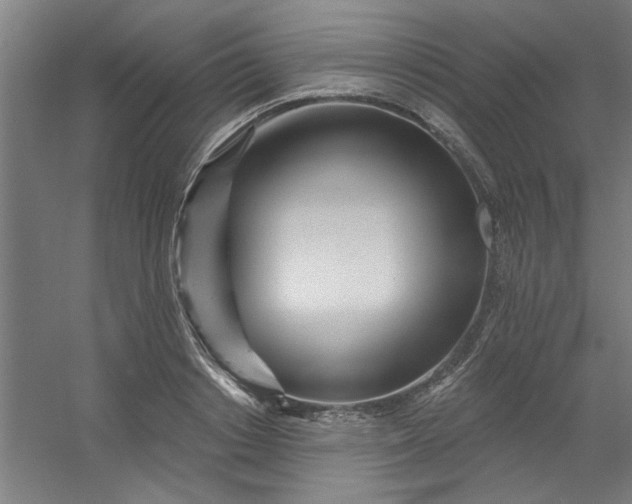 X0000054400842200508121657