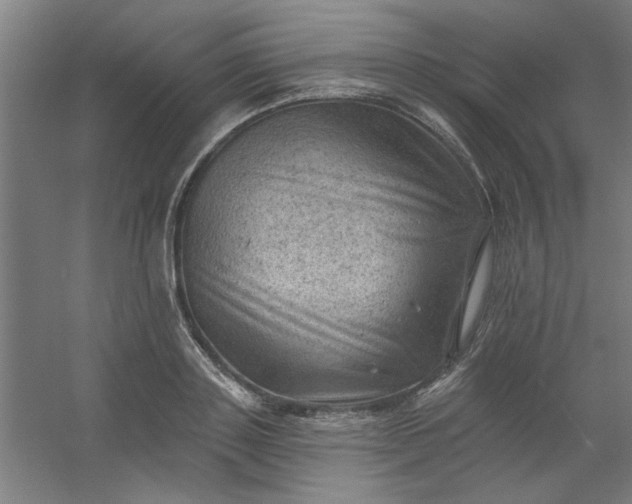 X0000054400843200508121657