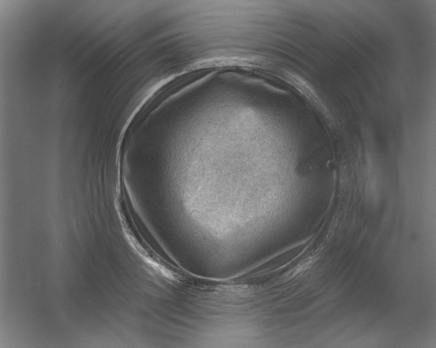 X0000054400844200508121657