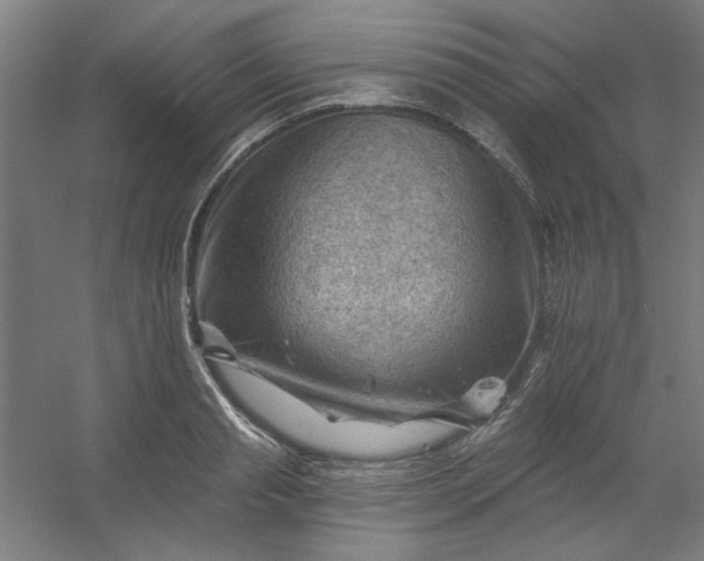 X0000054400845200508121657