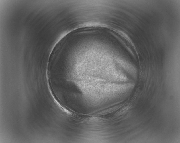 X0000054400847200508121657