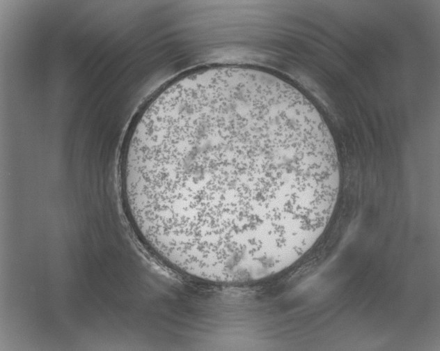 X0000054400848200508121657