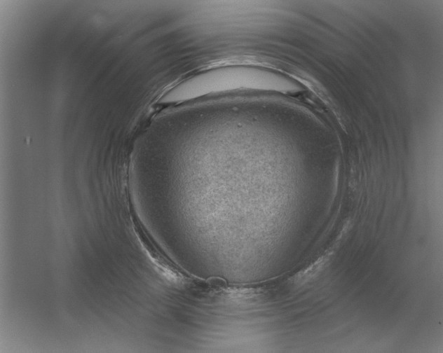 X0000054400849200508121657