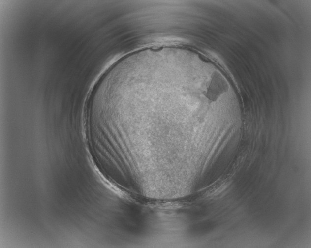 X0000054400851200508121657