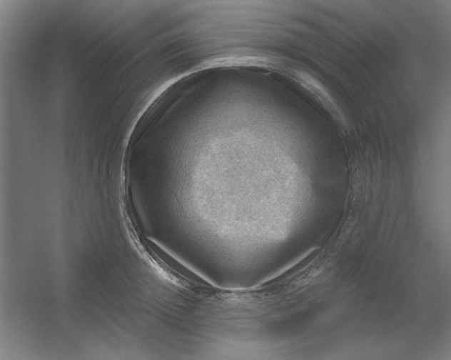 X0000054400852200508121657