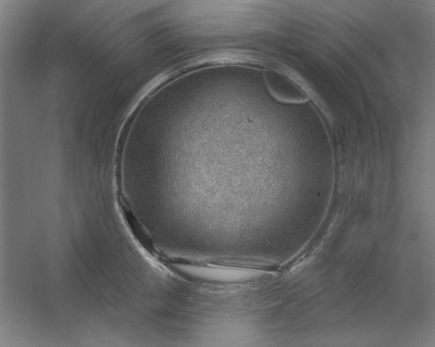 X0000054400853200508121657