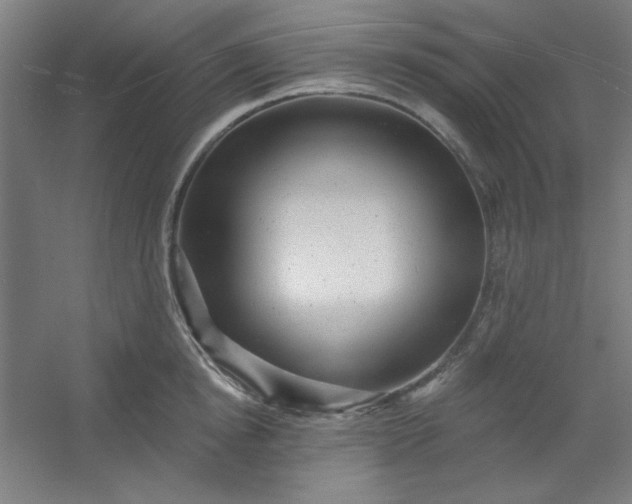 X0000054400854200508121657