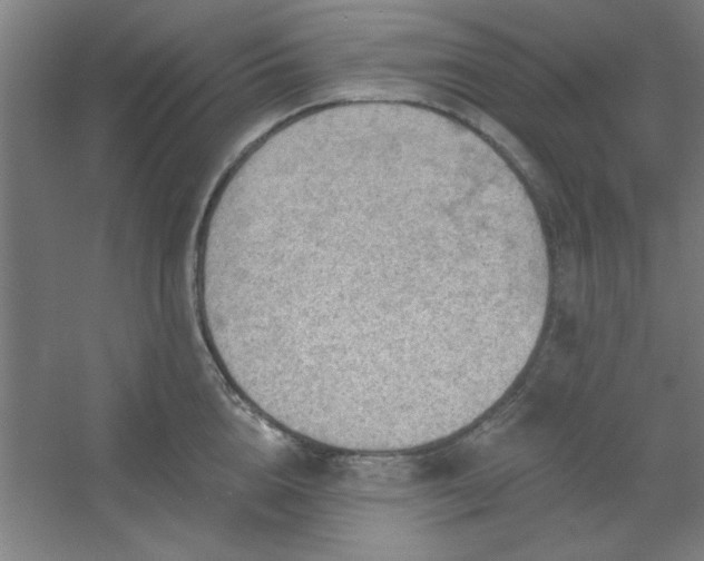 X0000054400856200508121657