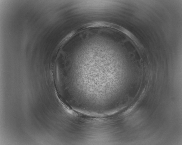 X0000054400857200508121657