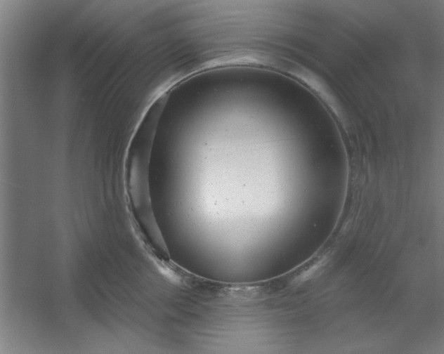 X0000054400858200508121657