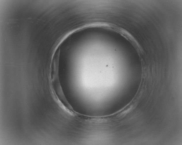 X0000054400860200508121657