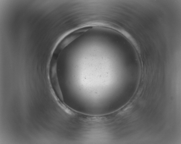 X0000054400862200508121657