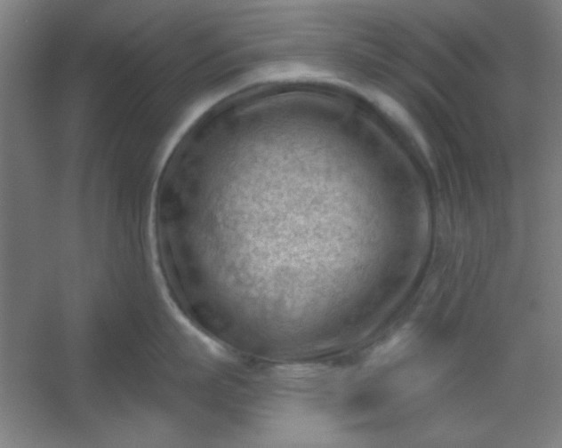 X0000054400863200508121657