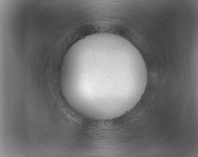 X0000054400865200508121656