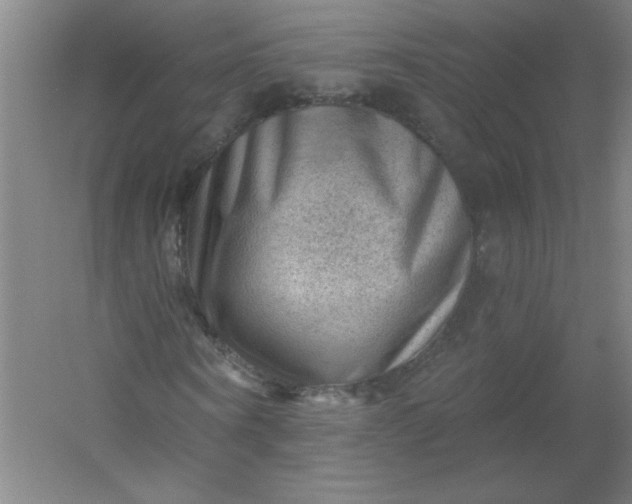 X0000054400866200508121656