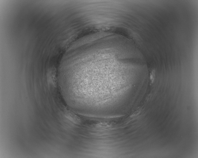 X0000054400867200508121656