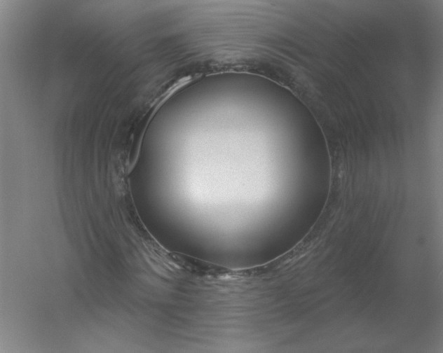 X0000054400868200508121656