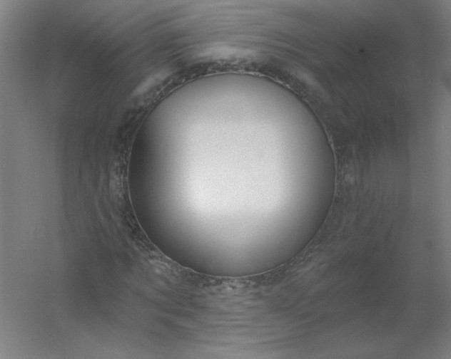 X0000054400869200508121656