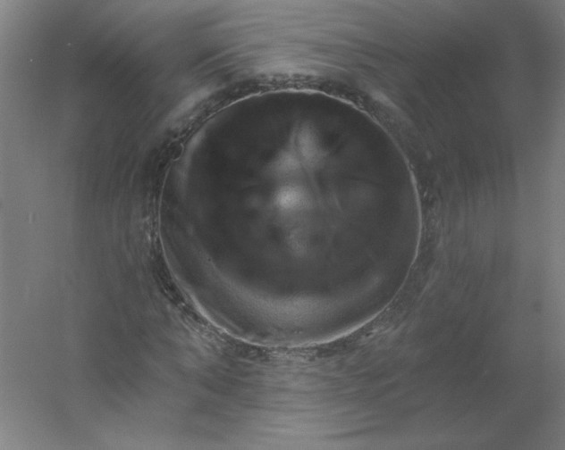 X0000054400870200508121656