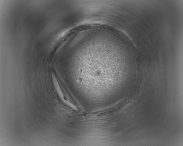 X0000054400871200508121656