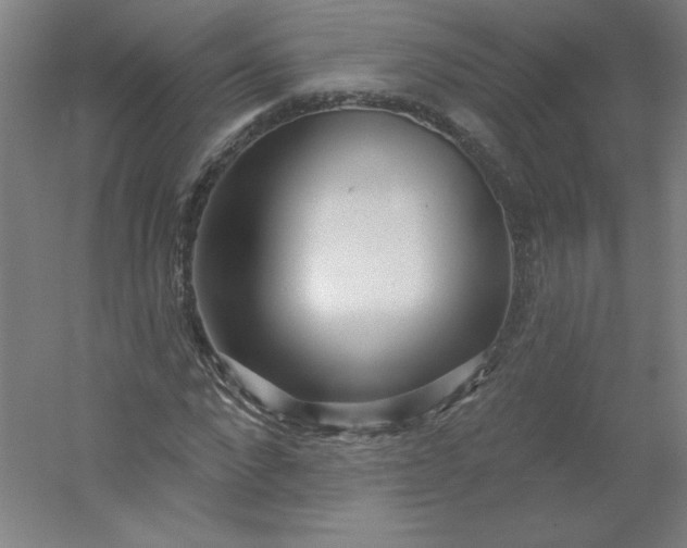 X0000054400872200508121656