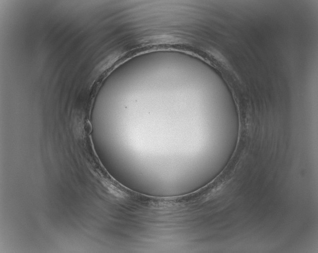 X0000054400873200508121656