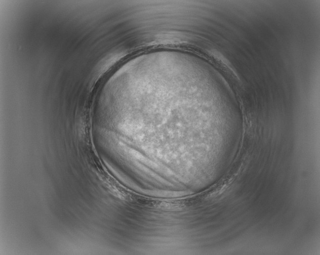 X0000054400874200508121656