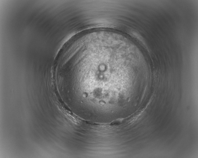 X0000054400875200508121656