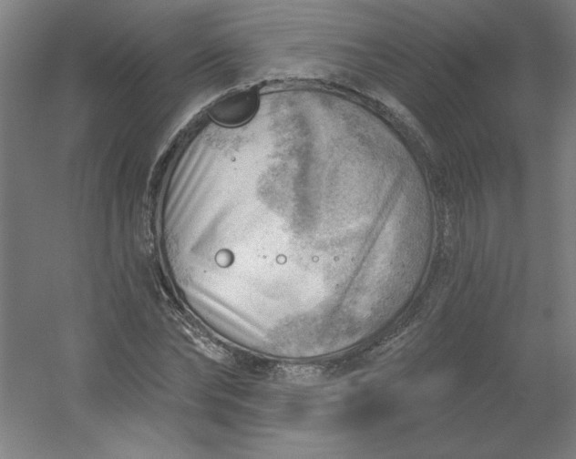 X0000054400878200508121656