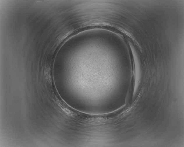 X0000054400881200508121656