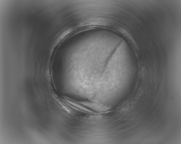 X0000054400882200508121656