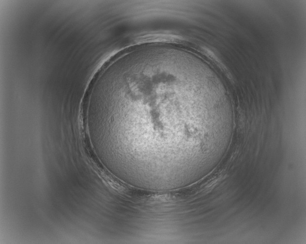 X0000054400883200508121656