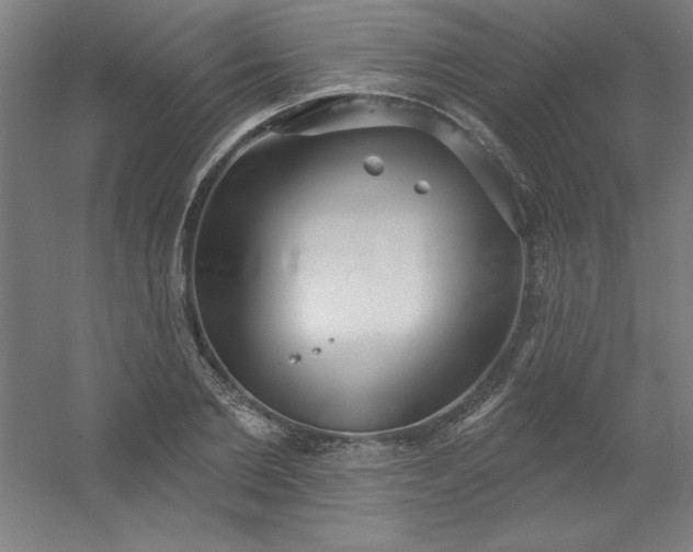 X0000054400885200508121656